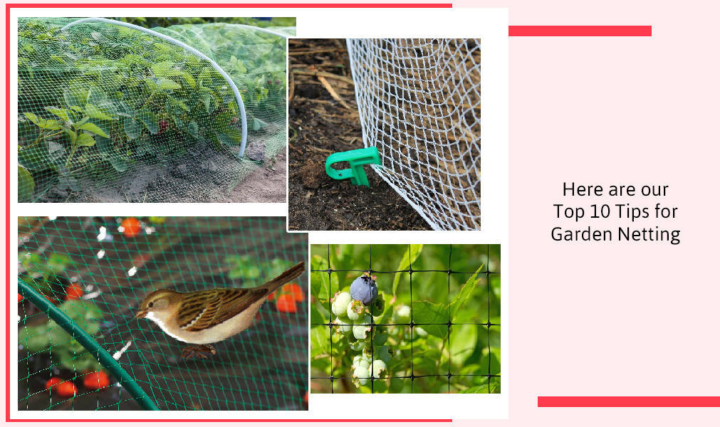 Here Are Our Top 10 Tips For Garden Netting