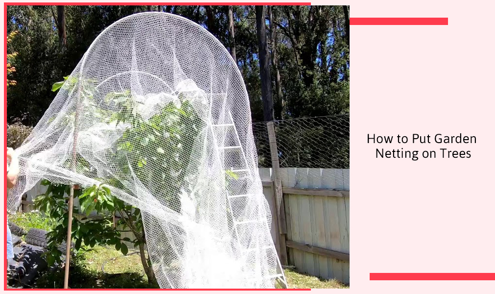 How to Put Garden Netting on Trees