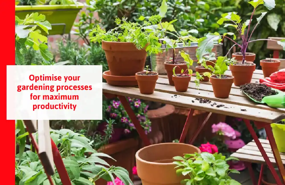 Optimise Your Gardening Processes For Maximum Productivity