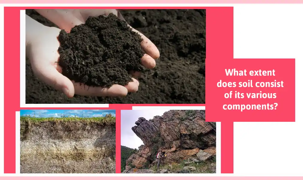 What Extent Does Soil Consist Of Its Various Components