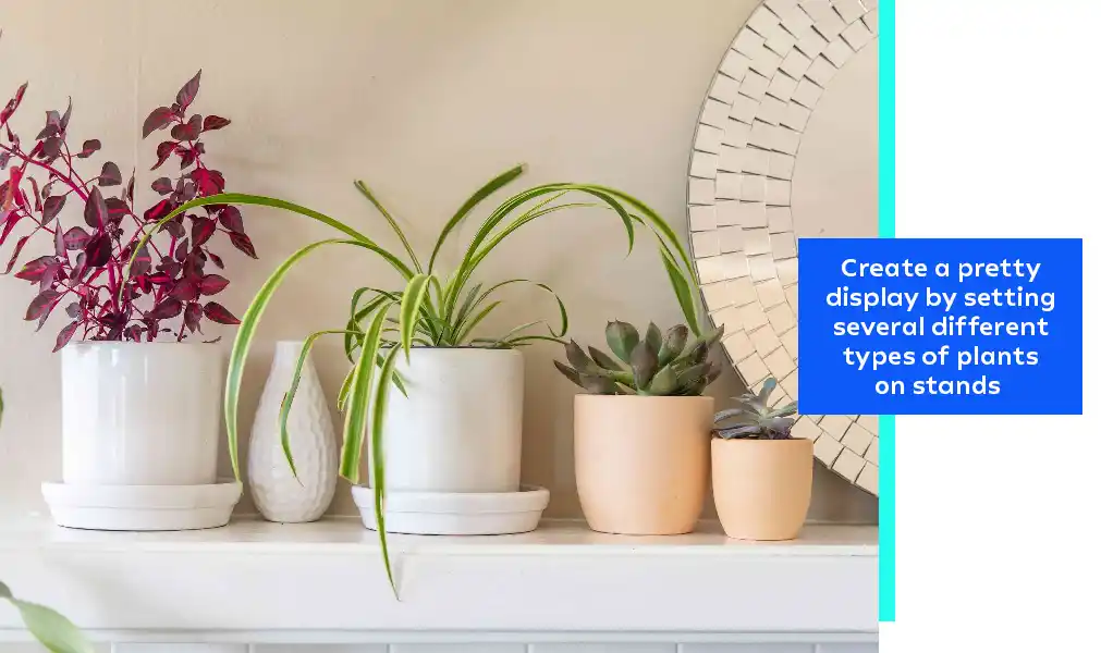 Create A Pretty Display By Setting Several Different Types Of Plants On Stands