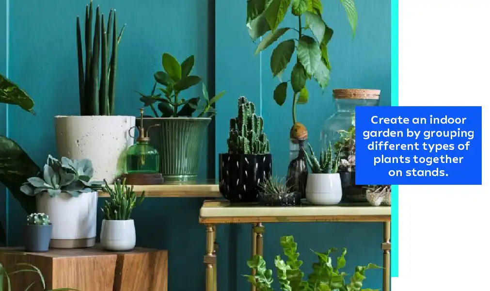 Create An Indoor Garden By Grouping Different Types Of Plants Together On Stands