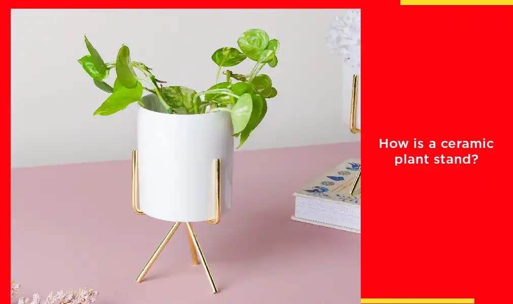 How Is A Ceramic Plant Stand