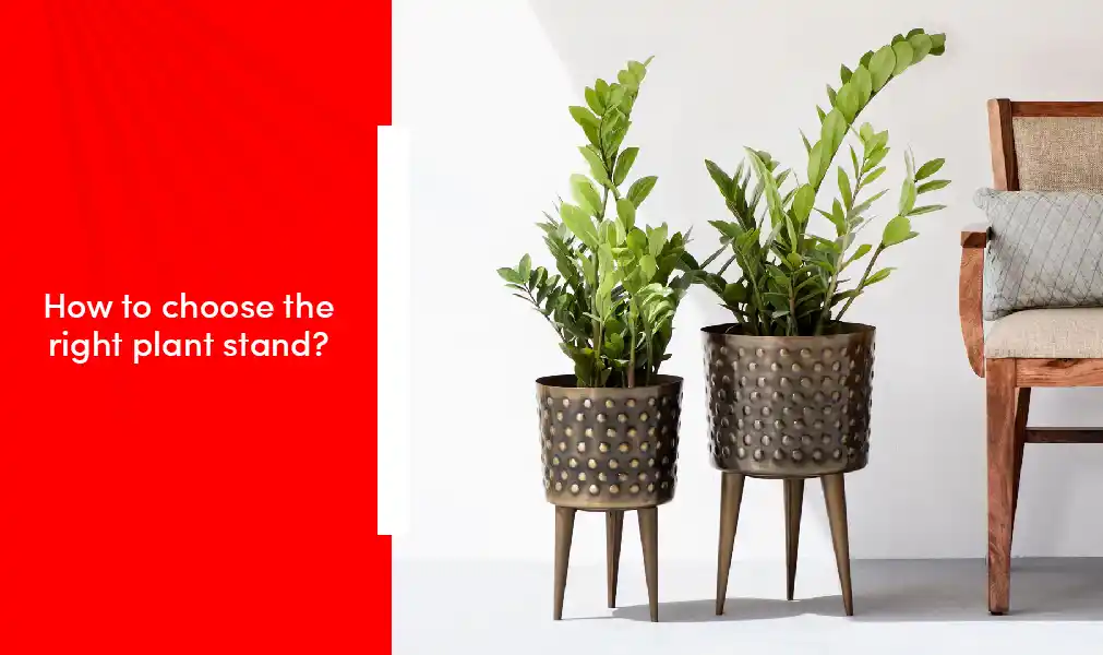How To Choose The Right Plant Stand