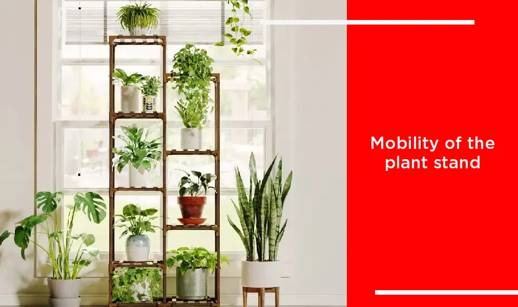 Mobility of The Plant Stand