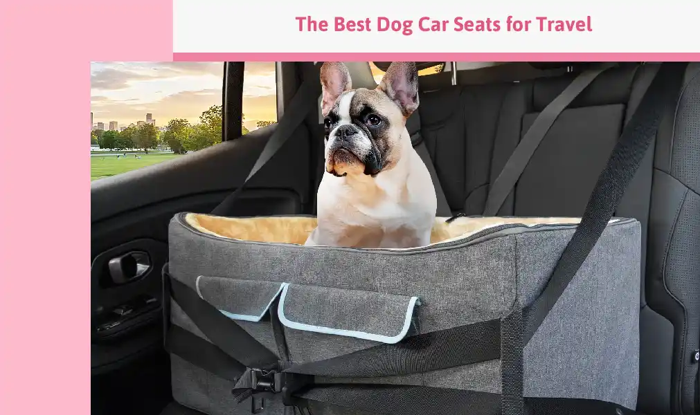 The Best Dog Car Seats For Travel
