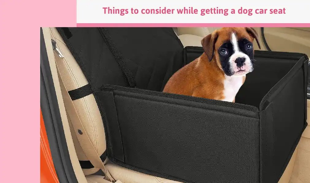Things To Consider While Getting A Dog Car Seat