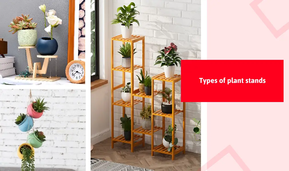 Types Of Plant Stands