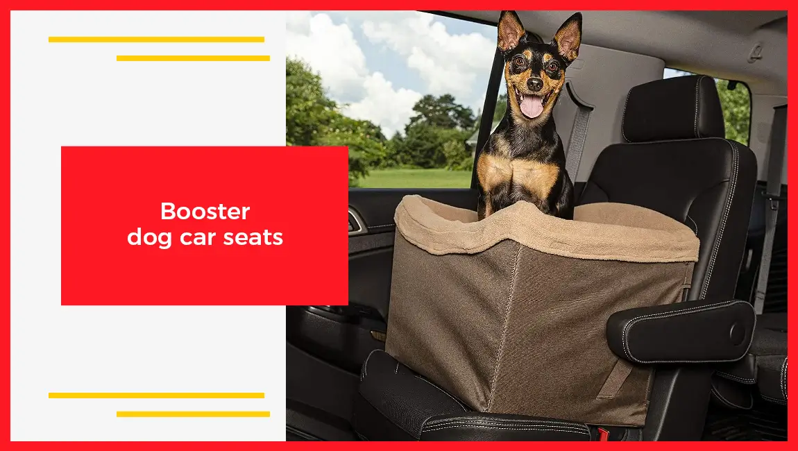 Booster Dog Car Seats