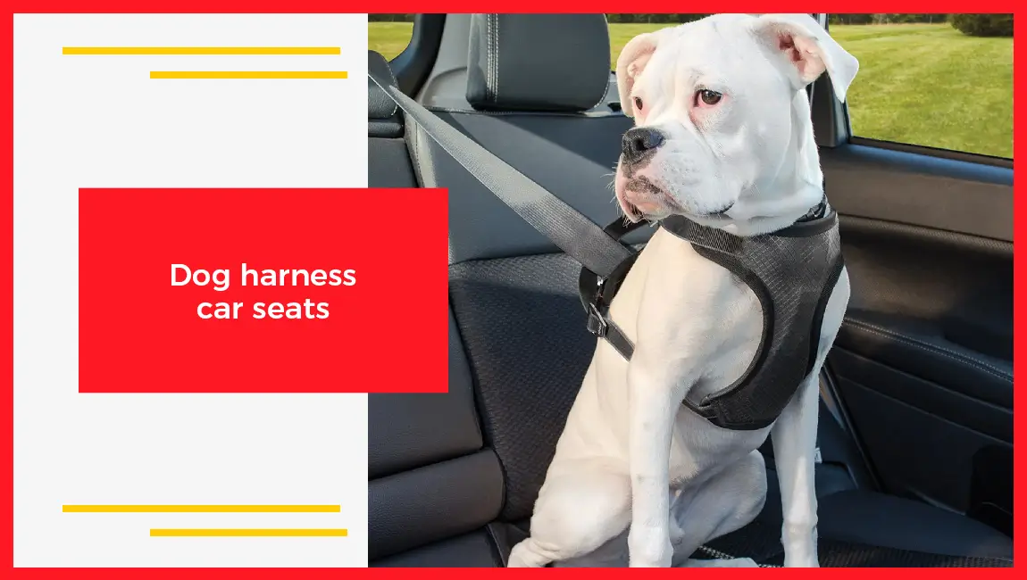 Dog Harness Car Seats