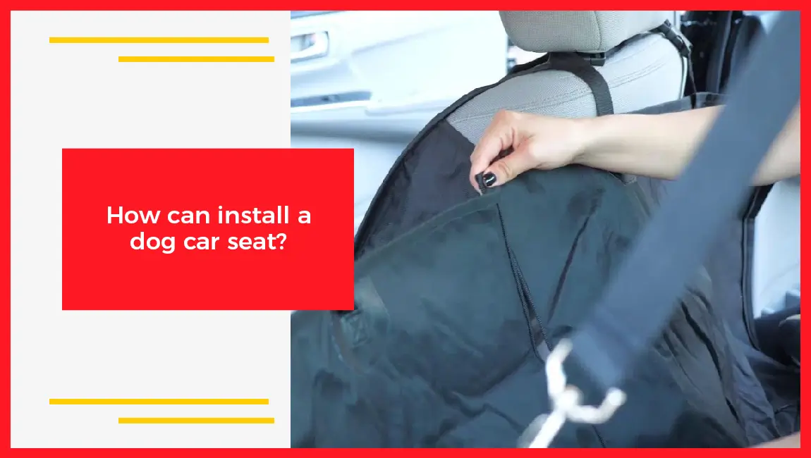 How Can Install A Dog Car Seat