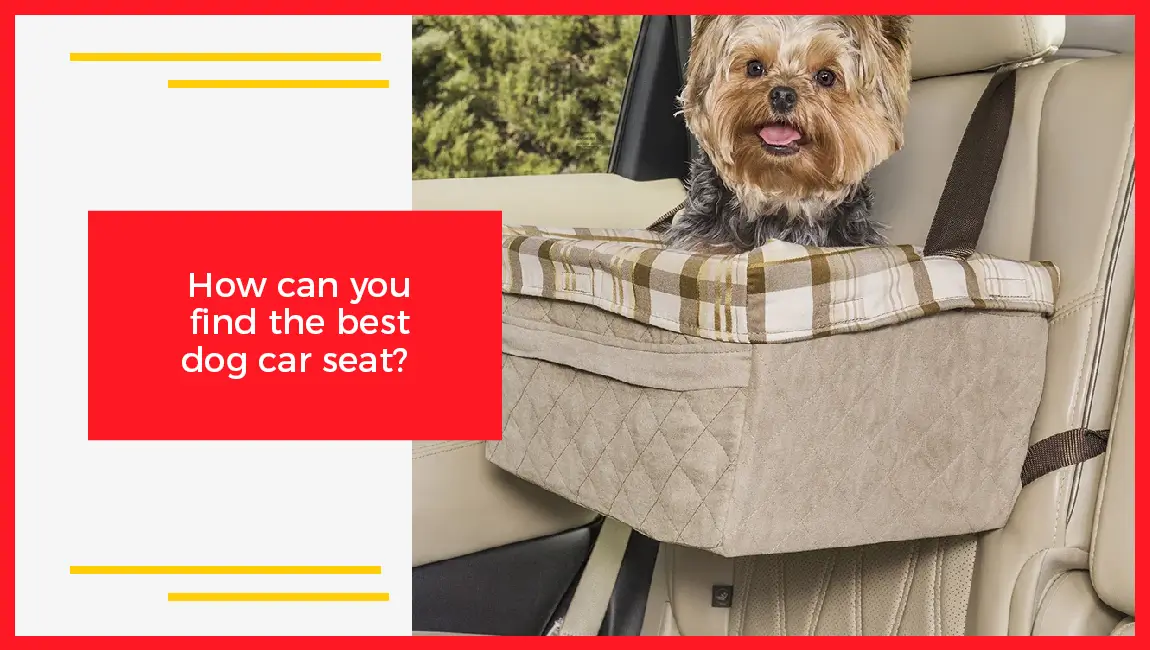 How Can You Find The Best Dog Car Seat
