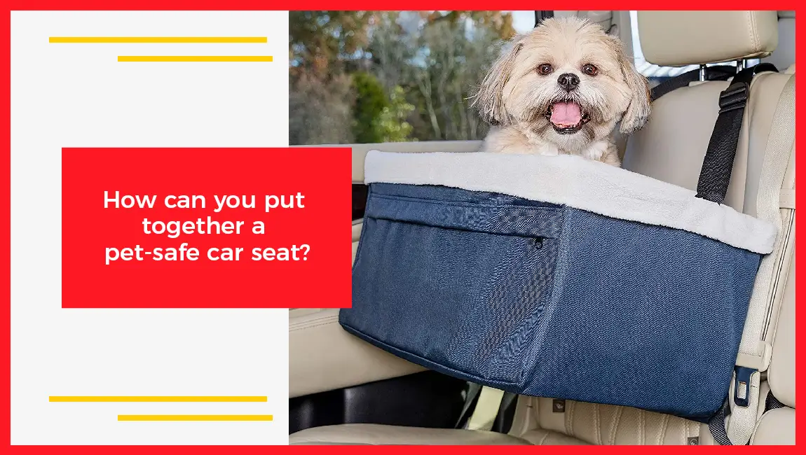How Can You Put Together A Pet-Safe Car Seats