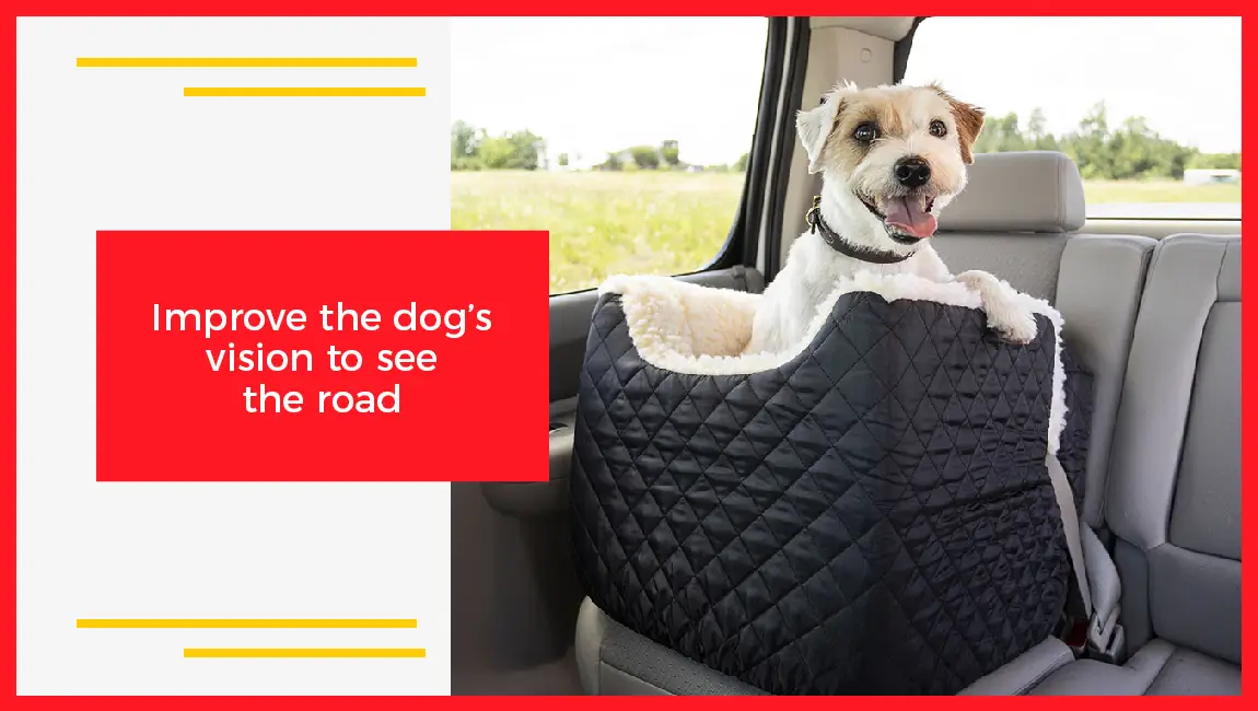 Improve The Dog's Vision To See The Road