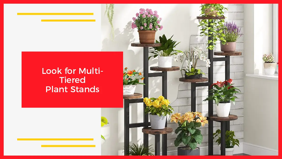 Look For Multi Tiered Plant Stands