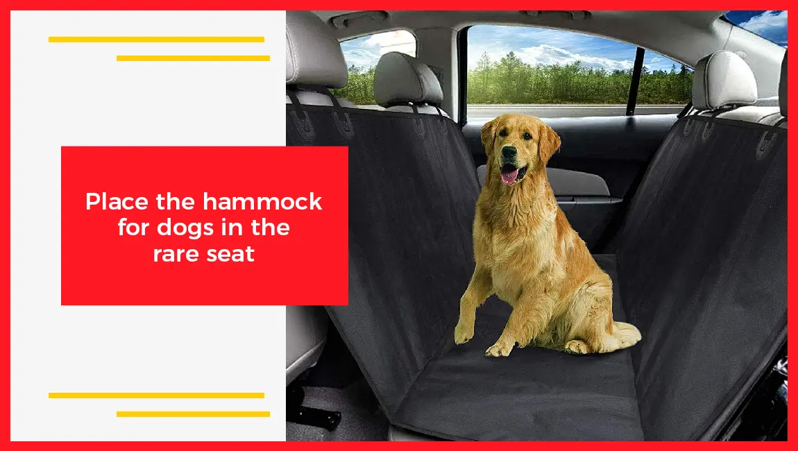 Place The Hammock For Dogs in the Rare Seat