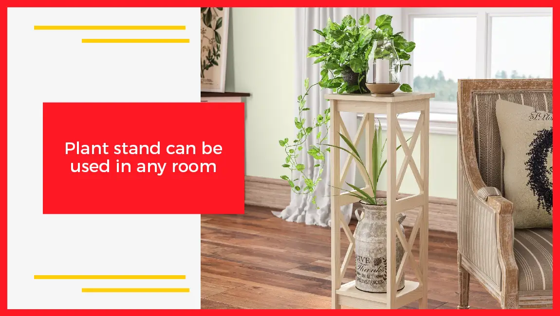 Plant Stand Can Be Used In Any Room