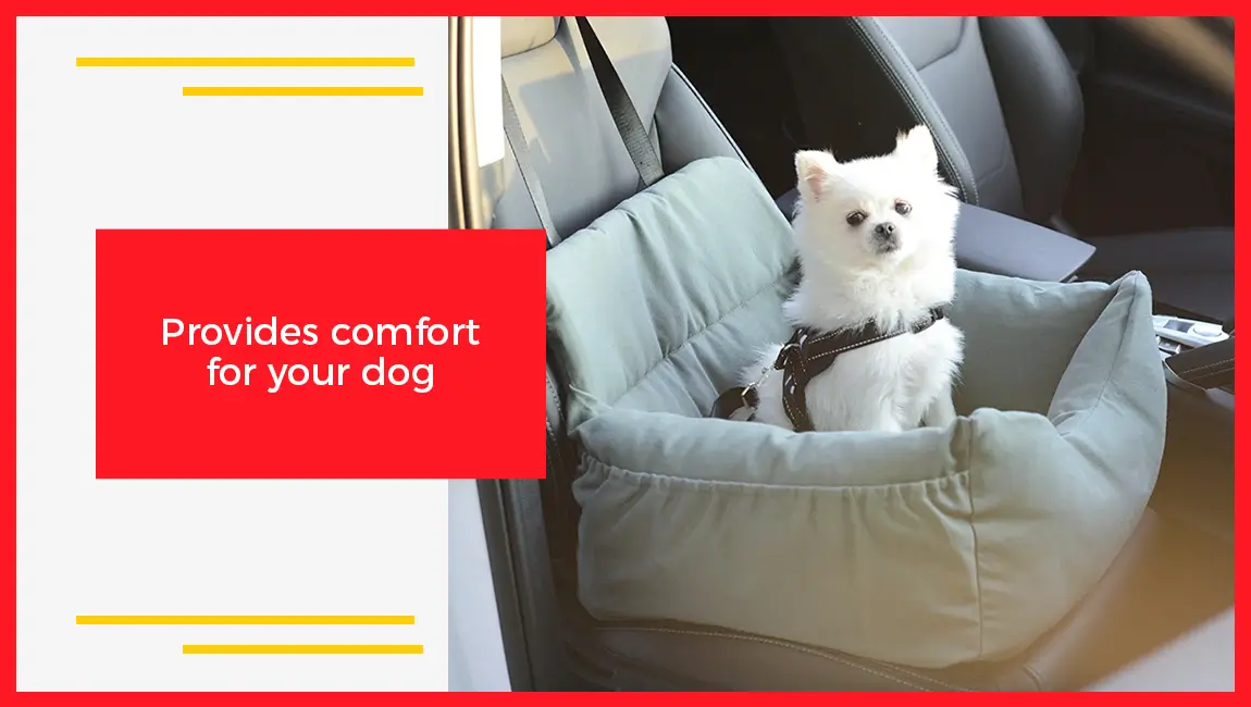 Provides Comfort For Your Dog