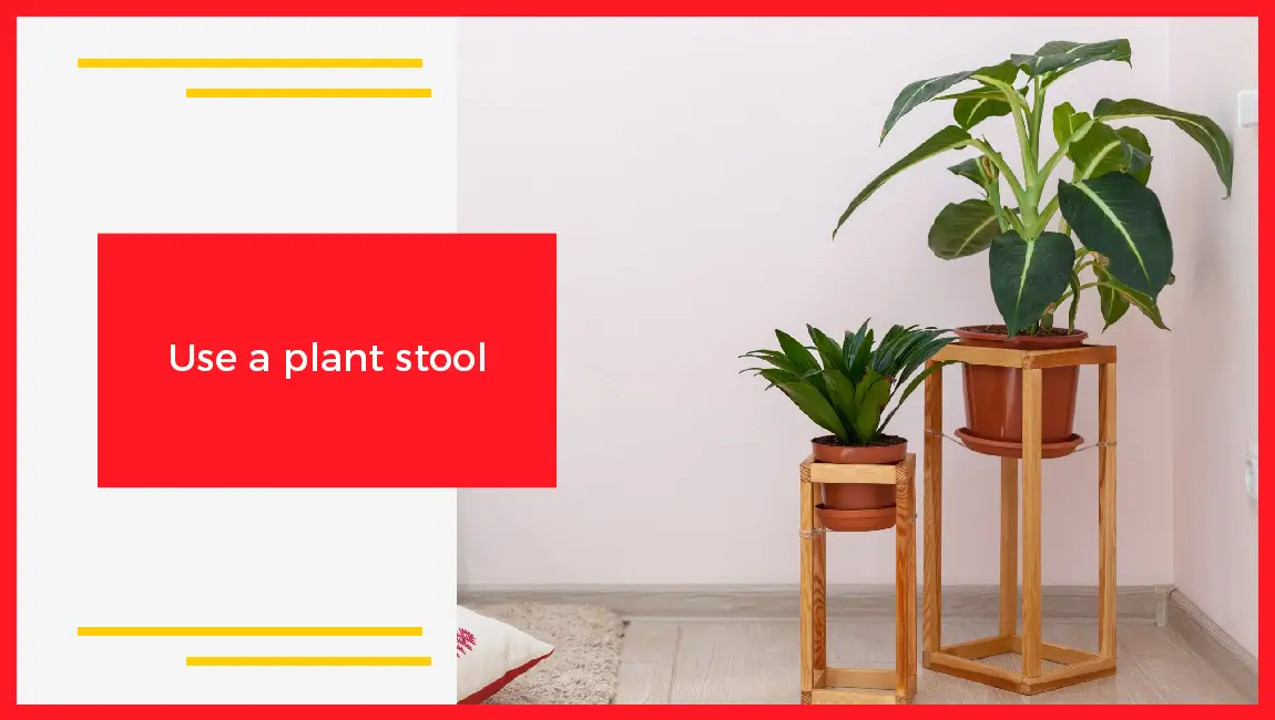 Use Plant Stool