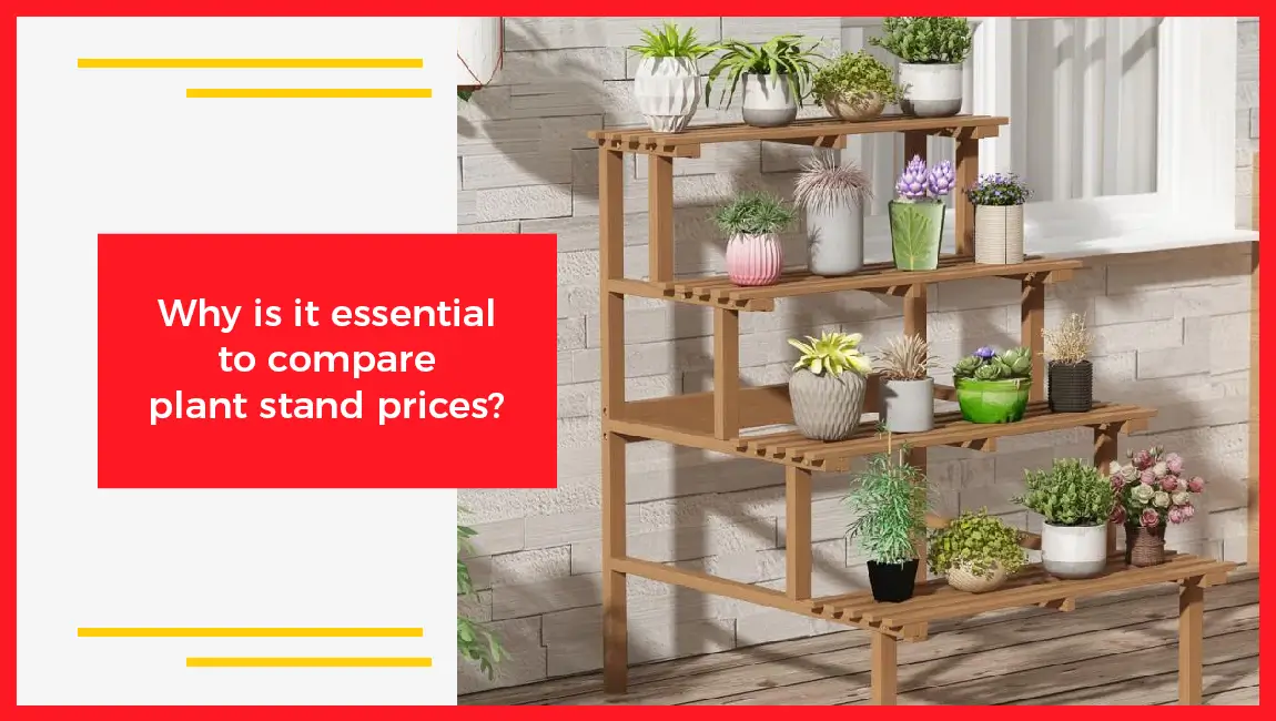 Why is it essential to compare plant stand prices