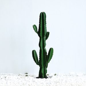 Artificial Cactus