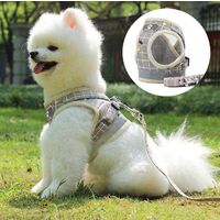 Dogs Harnesses