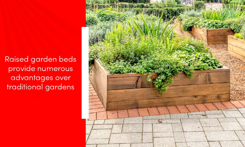 Raised Garden Beds Provide Numerous Advantages Over Traditional Gardens