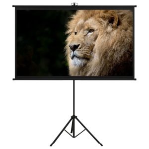 Projection Screen with Tripod