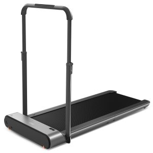 Lifespan Fitness WalkingPad™ Pro Treadmill