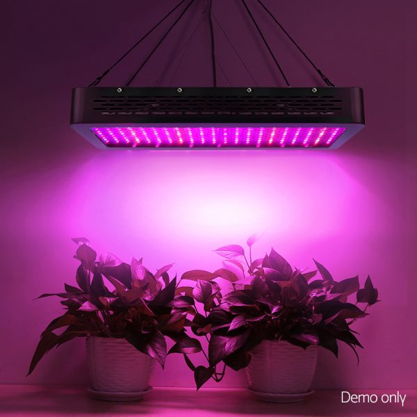 2000W LED Grow Light Full Spectrum