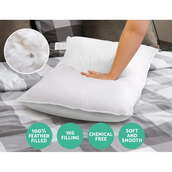 Set of 2 Duck Down Pillow – White