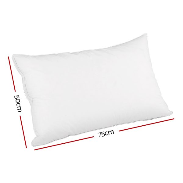 Goose Feather Down Twin Pack Pillow