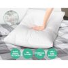 Goose Feather Down Twin Pack Pillow