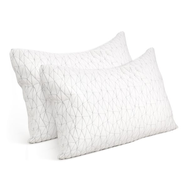 Set of 2 Rayon Single Memory Foam Pillow