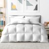 Queen Size 800GSM Goose Down Feather Quilt