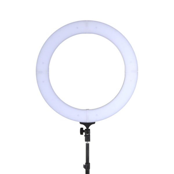 19″ LED Ring Light 6500K 5800LM Dimmable Diva With Stand Make Up Studio Video
