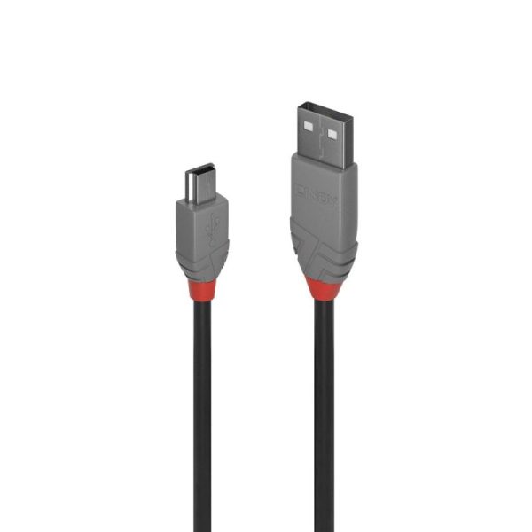 LINDY 1m USB2 A-Mini-B, Anthra Line
