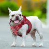 Floral Doggy Harness Red S