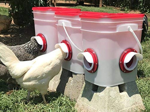 DIY Poultry Feeder Port 4pk