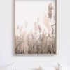 40cmx60cm Pampas Grass 2 Sets Wood Frame Canvas Wall Art