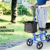 EQUIPMED Knee Walker Scooter Folding Mobility Alternative to Crutches Wheelchair