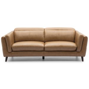 Platteville 2 Seater Sofa Genuine Leather Upholstered Coach Lounge