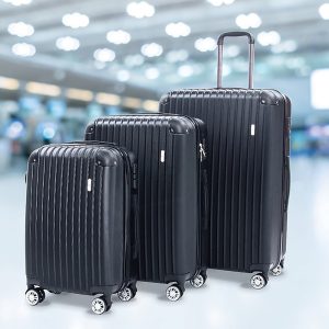 Delegate Suitcases Luggage Set 20