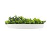 Flowering White Artificial Green Wall Disc UV Resistant 100cm (White Frame)