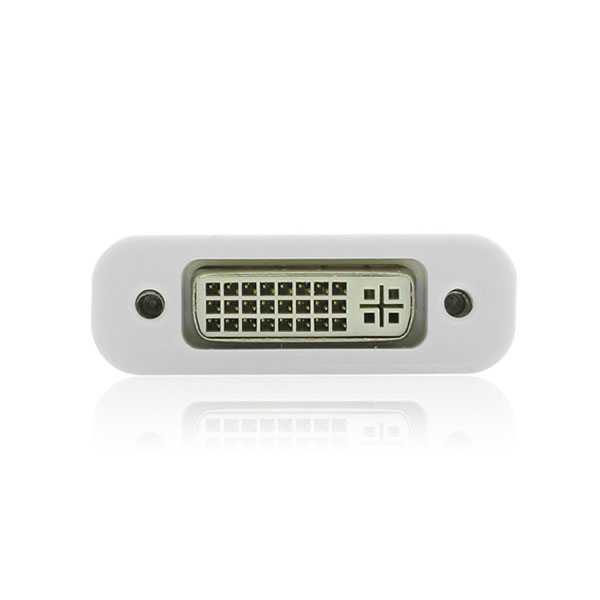Mini DisplayPort to DVI Converter (10402)
