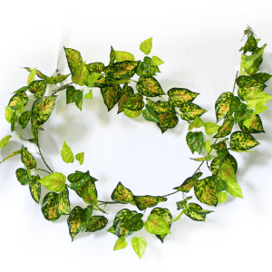 Mixed Yellow and Red Pothos Garland 190cm