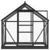 Glass Greenhouse Anthracite 155x103x191 cm Aluminium