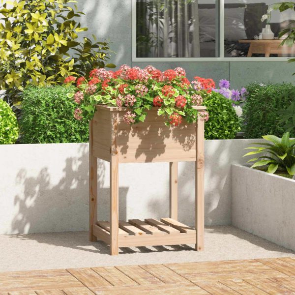 Planter with Shelf 54×34.5×81 cm Solid Wood Pine