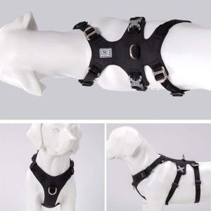 Whinhyepet Harness
