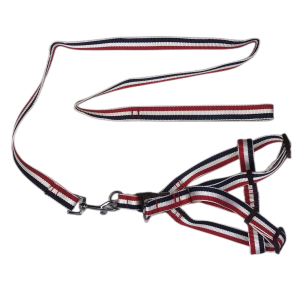 YES4PETS 2 X Large Pet Dog Harness Collar leash lead